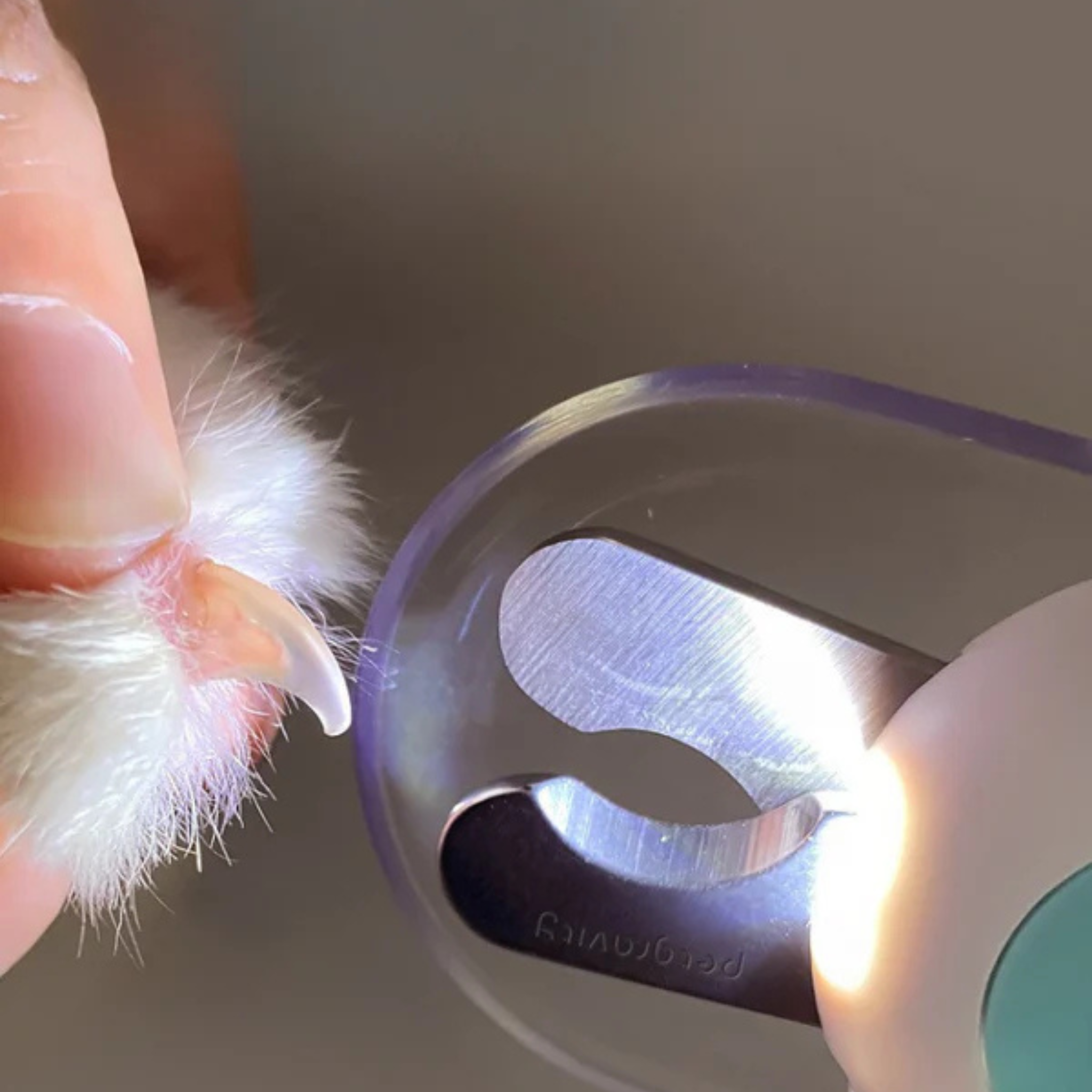 Pet Nail Clipper with Light – Ergonomic Grooming Tool