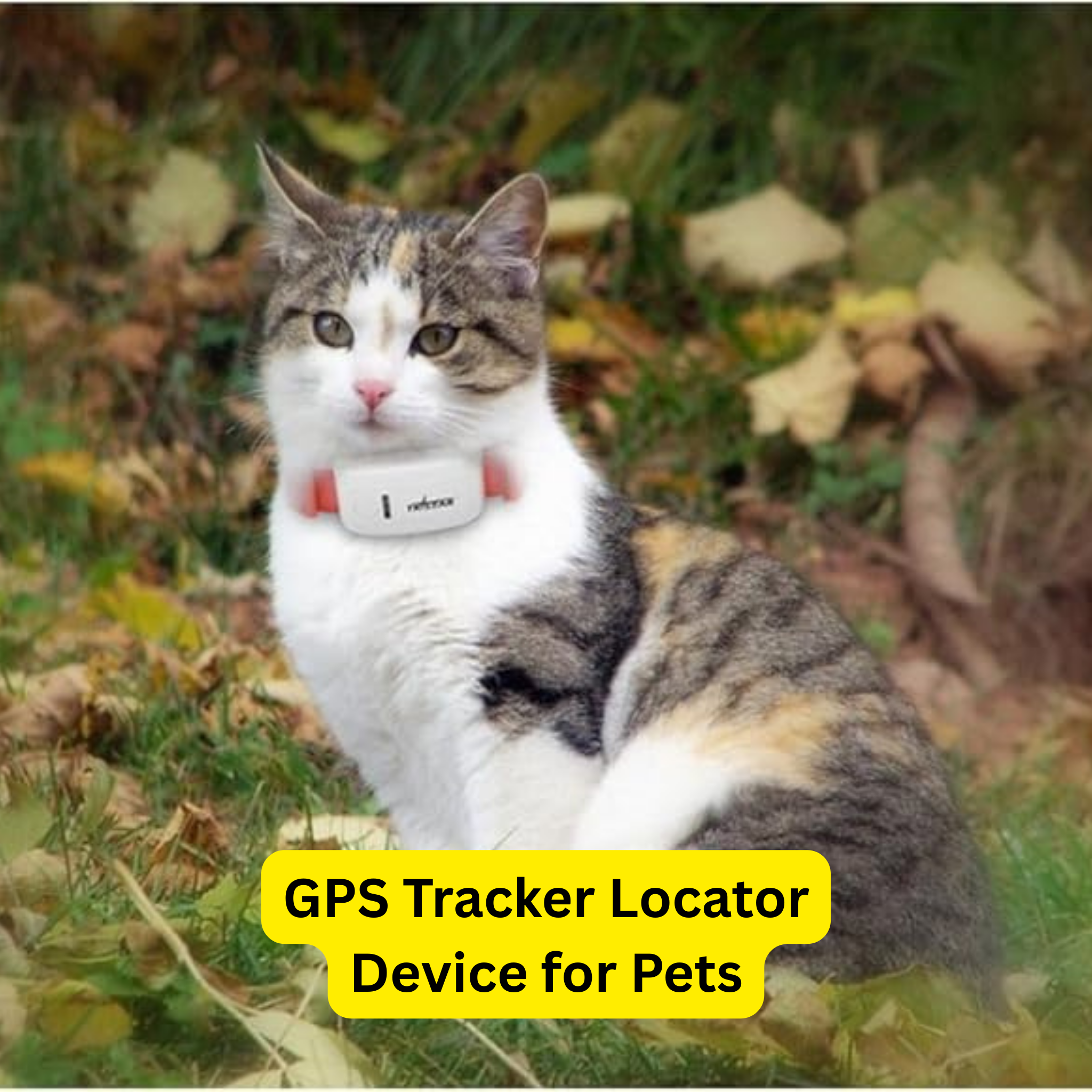 Pet GPS Tracker – Real-Time Locator for Cats & Dogs with Geo-Fence