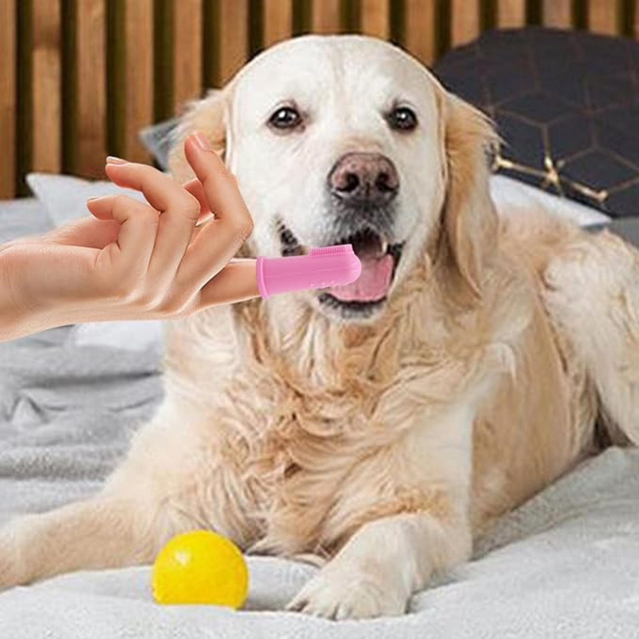 Pet Dental Care Finger Brush – Available in Multiple Colors & Sizes