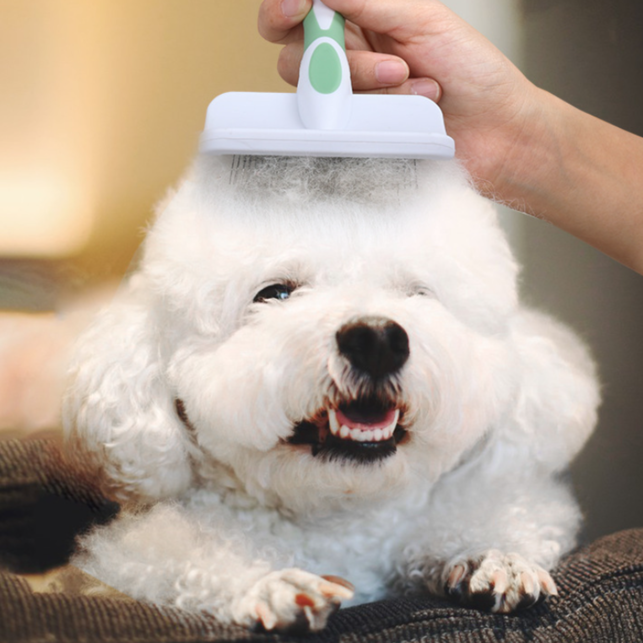 Pet Detangling Brush for Dogs – Stainless Steel Teeth