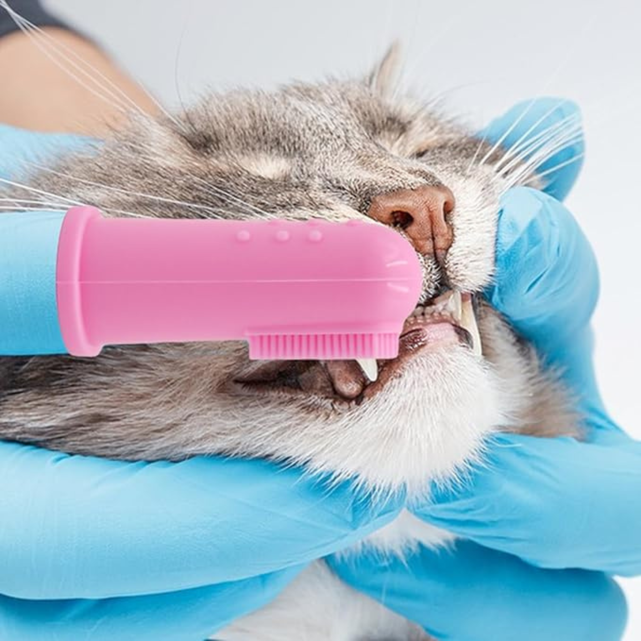 Pet Dental Care Finger Brush – Available in Multiple Colors & Sizes